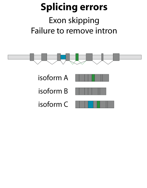 splicing